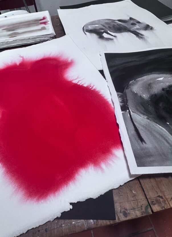 Grassinassa joulukuussa 2024