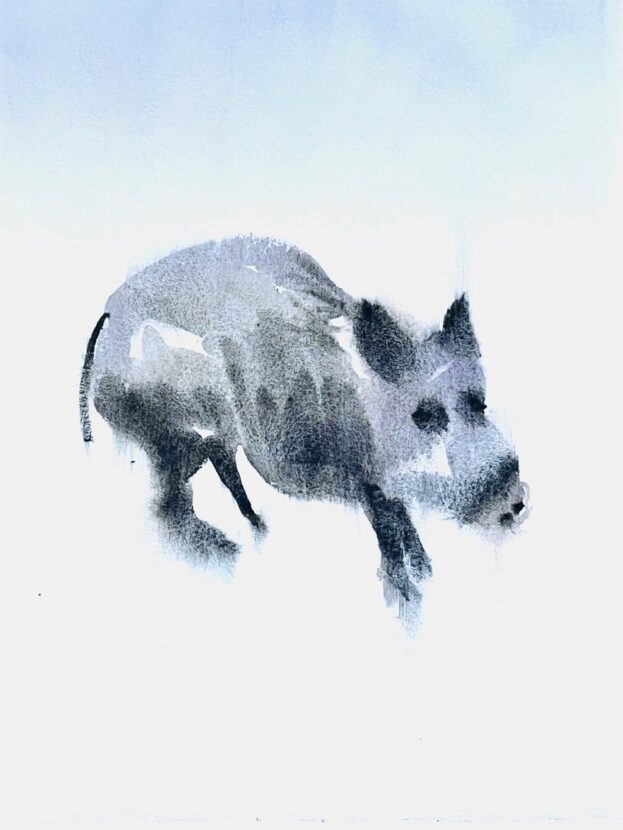 Nuorukainen, 2024. 62 x 38 cm