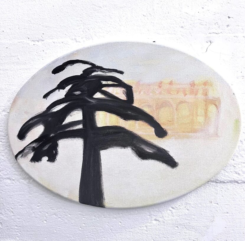 Kuninkaallinen seetri, 2011, 24 x 37 cm